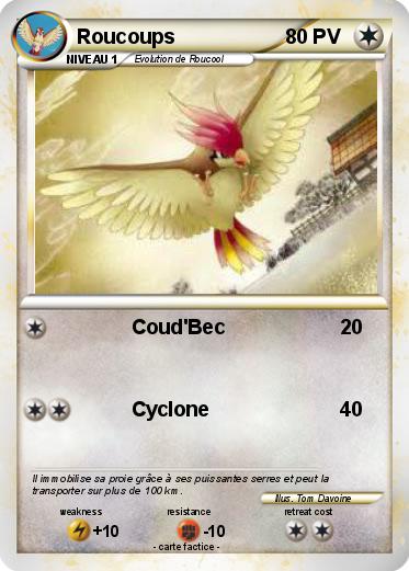 Pokemon Roucoups