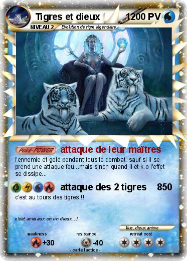 Pokemon Tigres et dieux          1