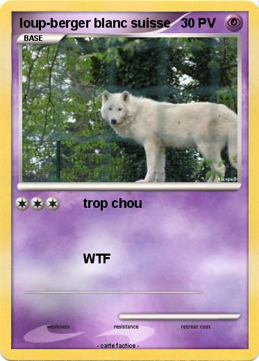 Pokemon loup-berger blanc suisse