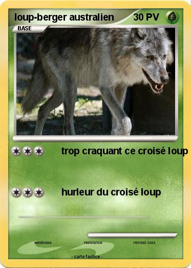 Pokemon loup-berger australien