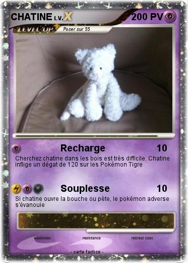 Pokemon CHATINE