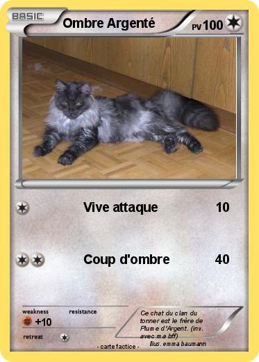 Pokemon Ombre Argenté