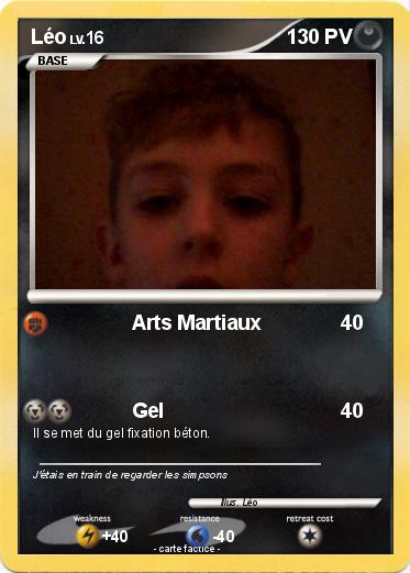 Pokemon Léo