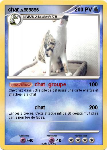 Pokemon chat