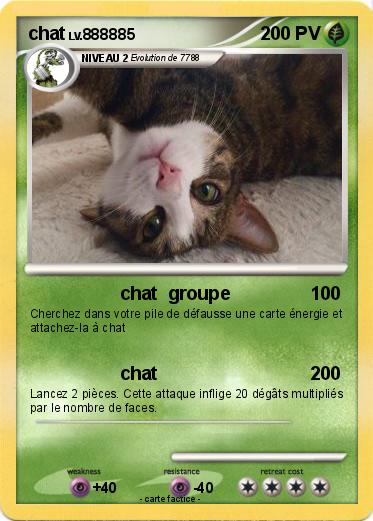 Pokemon chat