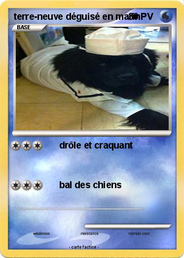 Pokemon terre-neuve déguisé en marin