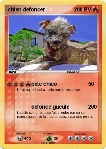 Pokemon chien defoncer