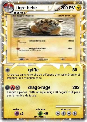 Pokemon tigre bebe