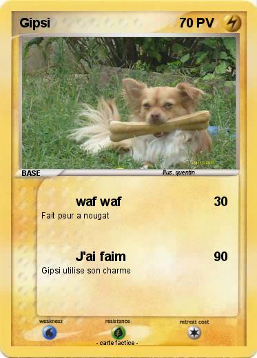 Pokemon Gipsi
