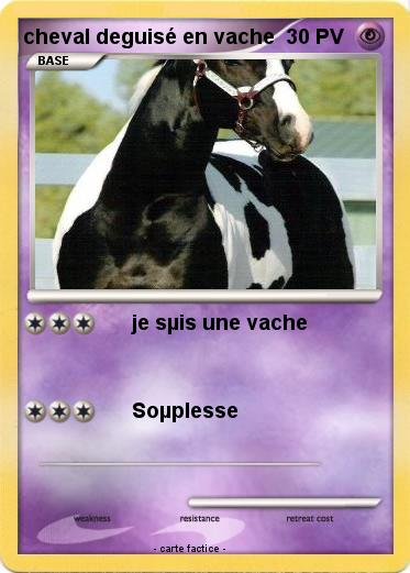 Pokemon cheval deguisé en vache