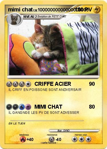 Pokemon mimi chat