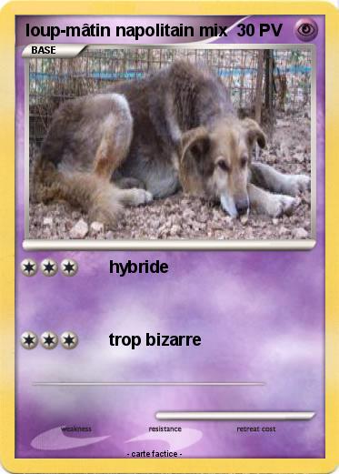 Pokemon loup-mâtin napolitain mix
