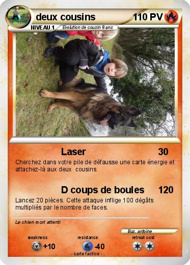 Pokemon deux cousins