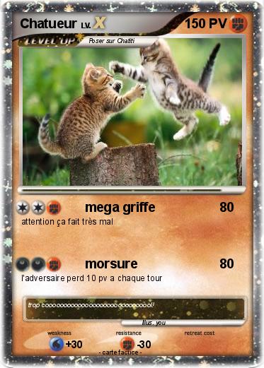 Pokemon Chatueur