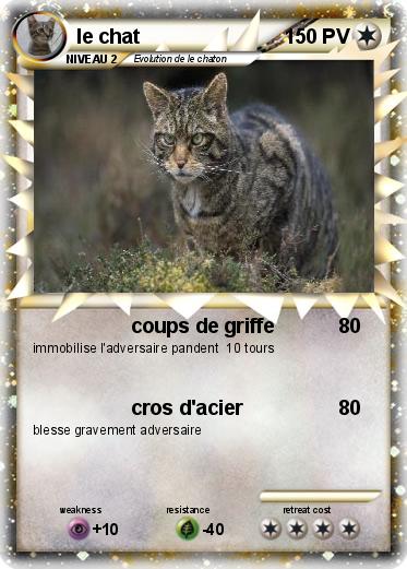 Pokemon le chat