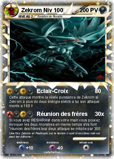 Pokemon Zekrom Niv 100