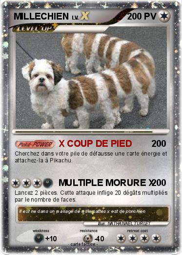 Pokemon MILLECHIEN