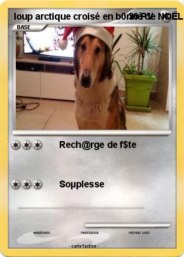 Pokemon loup arctique croisé en b0nné de NOËL