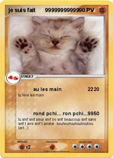 Pokemon je suis fait      99999999999