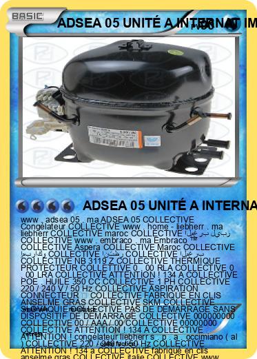 Pokemon ADSEA 05 UNITÉ A INTERNAT IME
