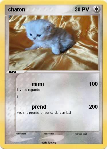Pokemon chaton