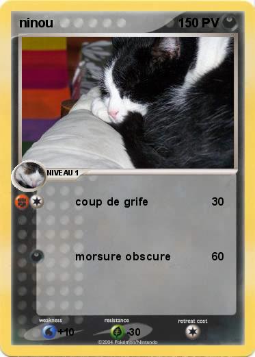Pokemon ninou
