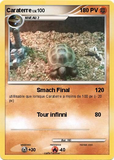 Pokemon Caraterre