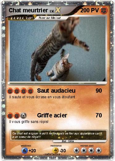 Pokemon Chat meurtrier