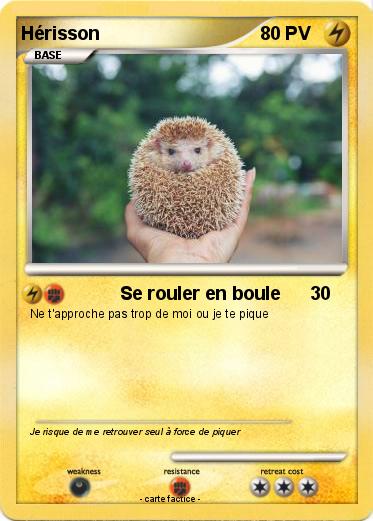 Pokemon Hérisson