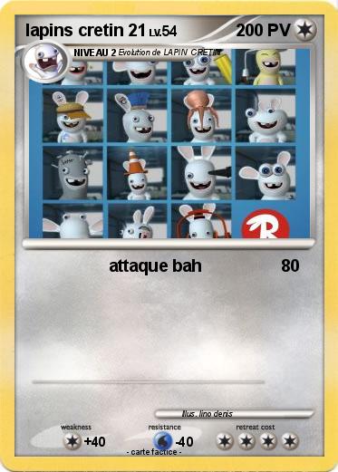 Pokemon lapins cretin 21