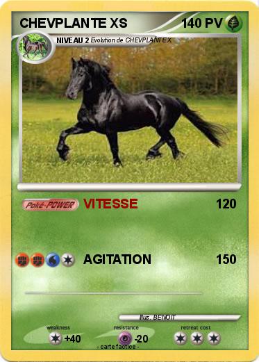 Pokemon CHEVPLANTE XS