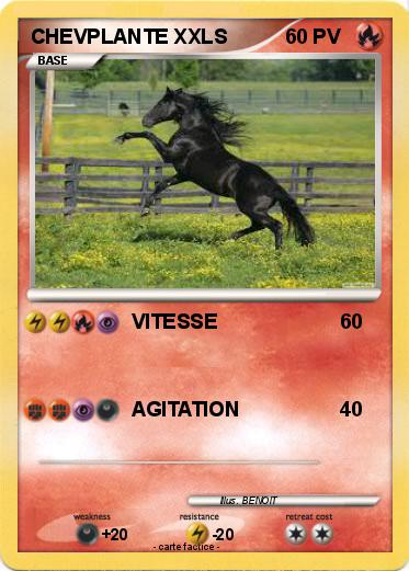 Pokemon CHEVPLANTE XXLS