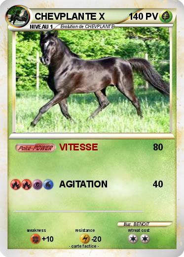 Pokemon CHEVPLANTE X