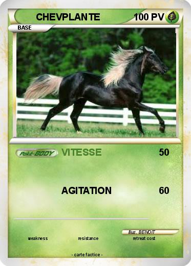 Pokemon CHEVPLANTE