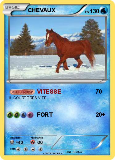 Pokemon CHEVAUX