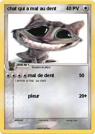 Pokemon chat qui a mal au dent