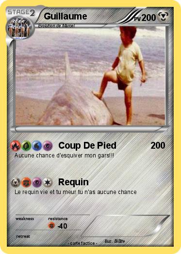 Pokemon Guillaume