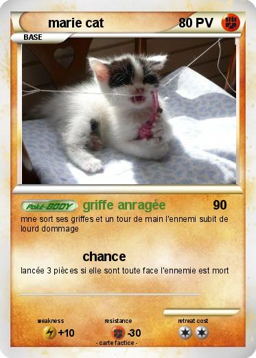 Pokemon marie cat
