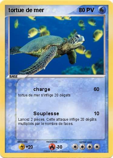 Pokemon tortue de mer