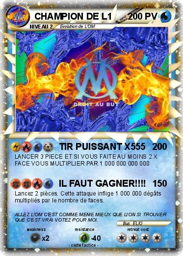 Pokemon CHAMPION DE L1