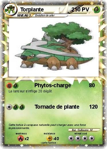 Pokemon Torplante                   2