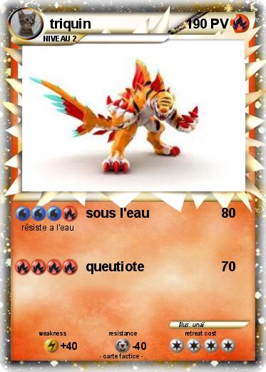 Pokemon triquin