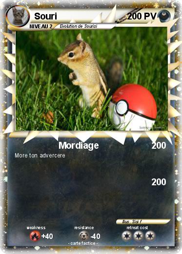 Pokemon Souri