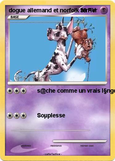 Pokemon dogue allemand et norfolk terrier