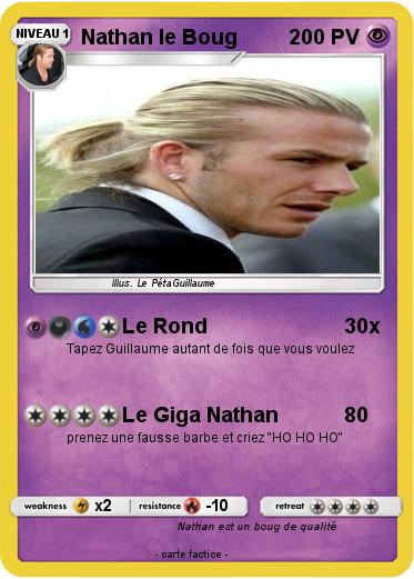 Pokemon Nathan le Boug