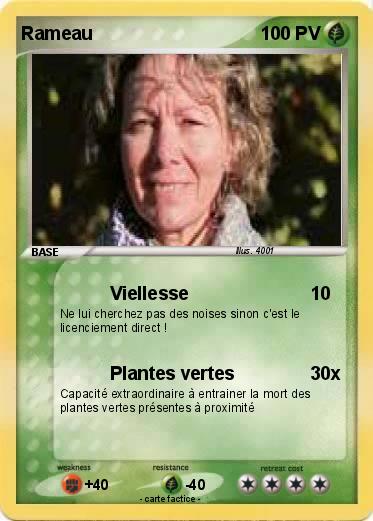 Pokemon Rameau