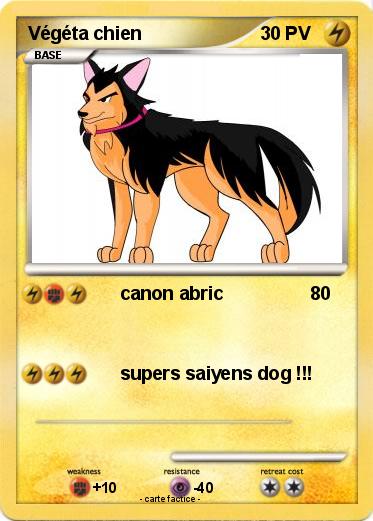 Pokemon Végéta chien