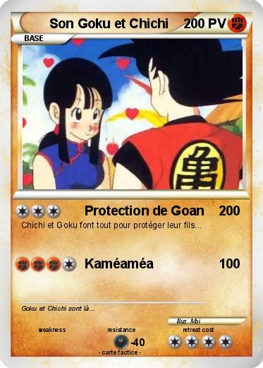 Pokemon Son Goku et Chichi
