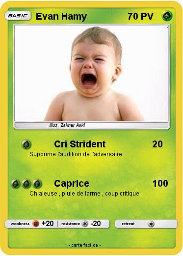 Pokemon Evan Hamy