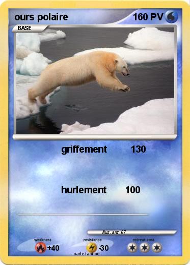 Pokemon ours polaire